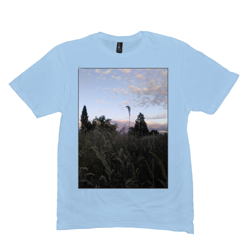 Clearview Grass